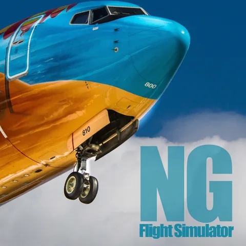 NG Flight Simulator